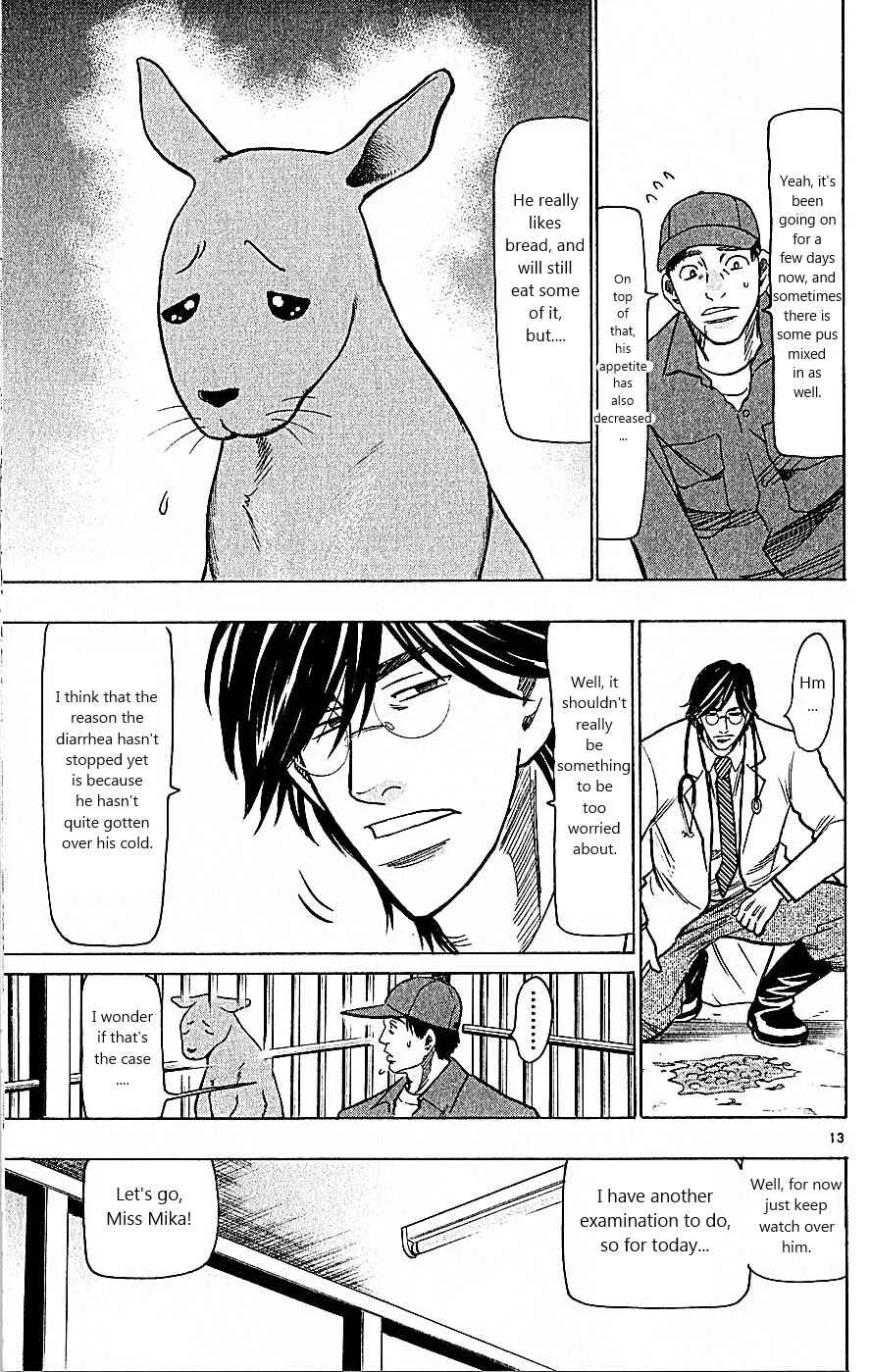 Wild Life Chapter 76: How Did It Come to That? - Page 13