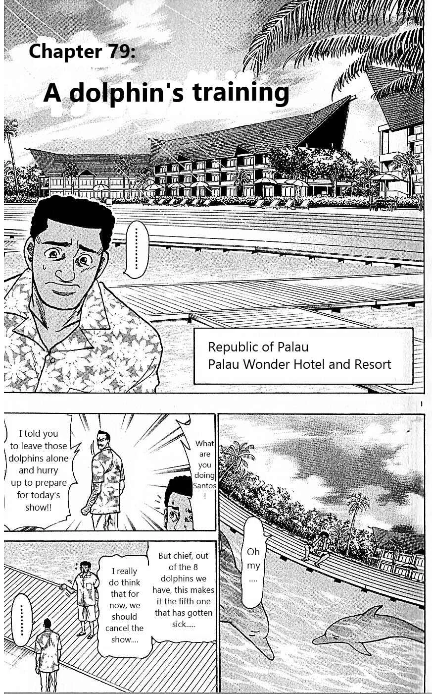 Wild Life Chapter 79: A Dolphin's Training - Page 1