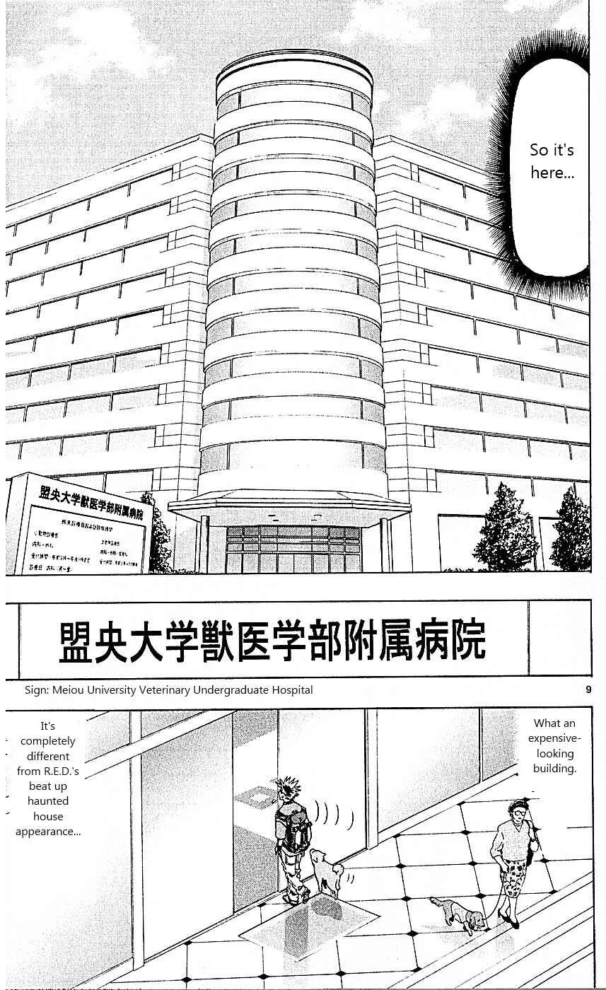 Wild Life Chapter 87: A New Development? - Page 9