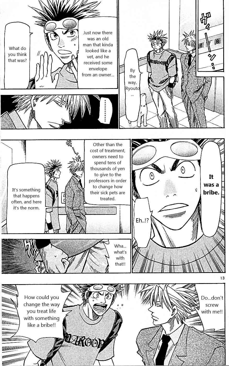 Wild Life Chapter 87: A New Development? - Page 13