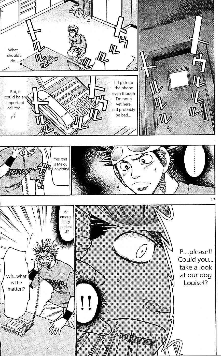Wild Life Chapter 88: King's Game!! - Page 17