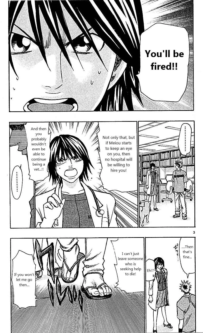 Wild Life Chapter 89: Meiou University's Night - Page 3