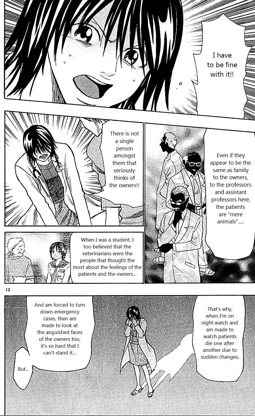 Wild Life Chapter 89: Meiou University's Night - Page 12
