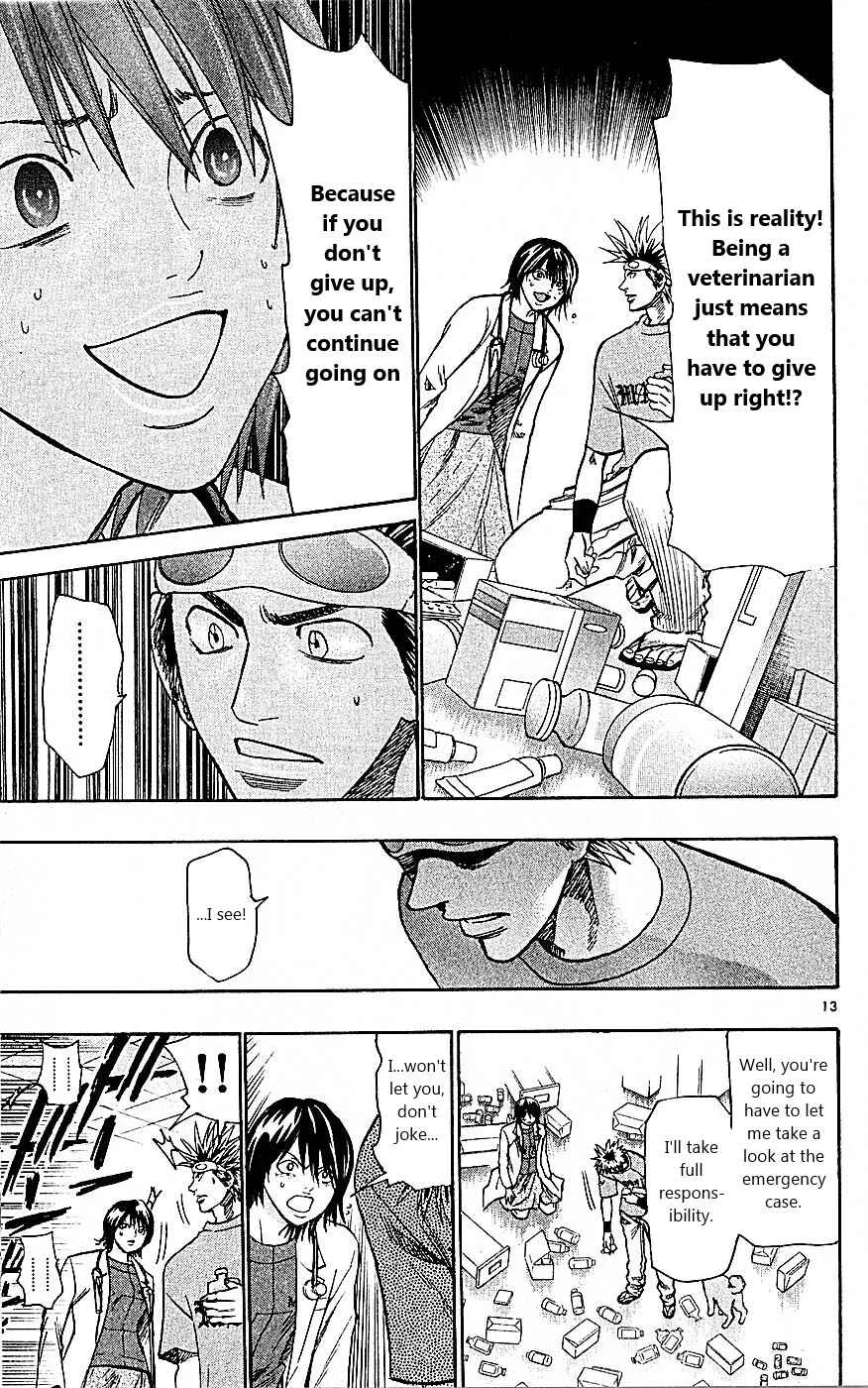 Wild Life Chapter 89: Meiou University's Night - Page 13