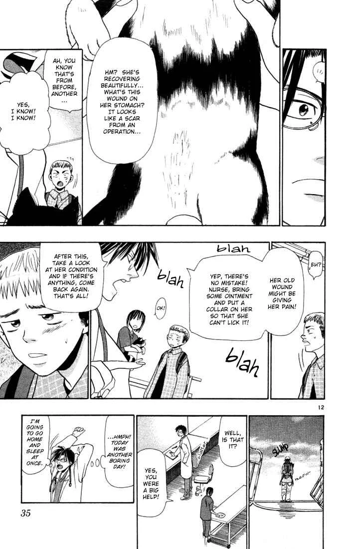 Wild Life Chapter 9: The Cat's PTA - Page 10