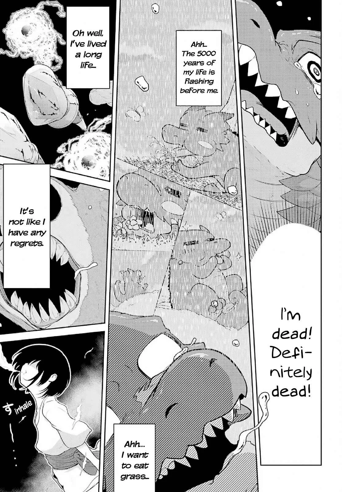 Yowai 5000-nen no Soushoku Dragon, Iware naki Jaryuu Nintei: Yada Kono Ikenie, Hito no Hanashi wo Kiite Kurenai Chapter 2: Onto the City of Adventurers - Page 28