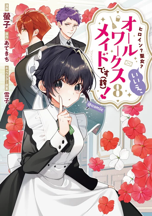 Heroine? Seijo? Iie, All-Works Maid desu (ko)!