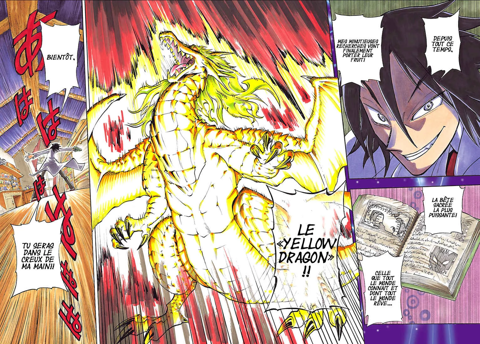 Appearance of the Yellow Dragon! Chapitre 1: Kimidori entre en scène ! - Page 3