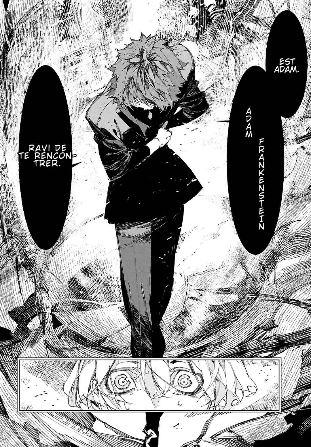 Bungou Stray Dogs: STORM BRINGER Chapitre 1: Code:01 - Page 13