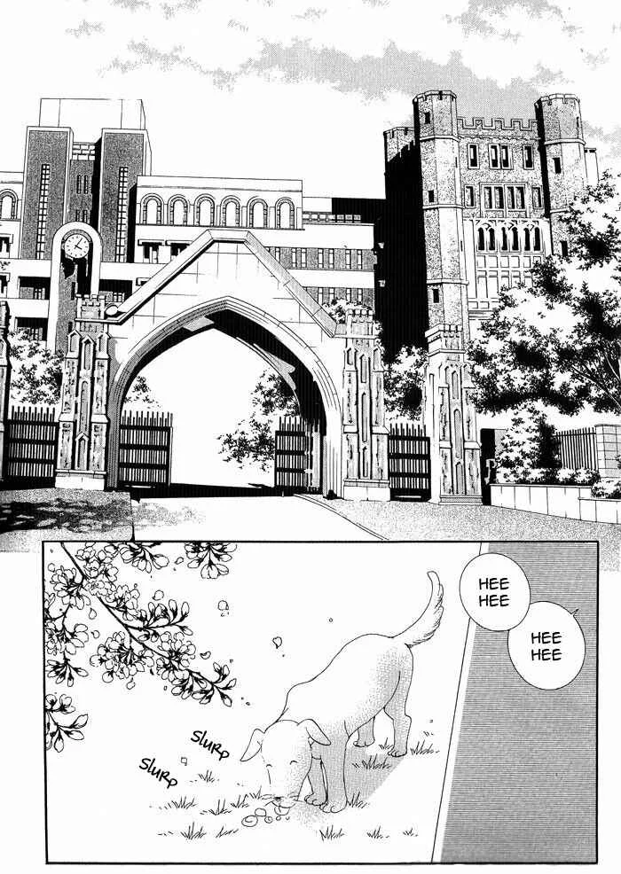 I Will Be Cinderella Chapitre 1 - Page 6