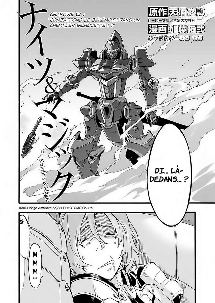 Knight's & Magic Chapitre 12: Combattons le Béhémoth dans un chevalier silhouette 1 - Page 10