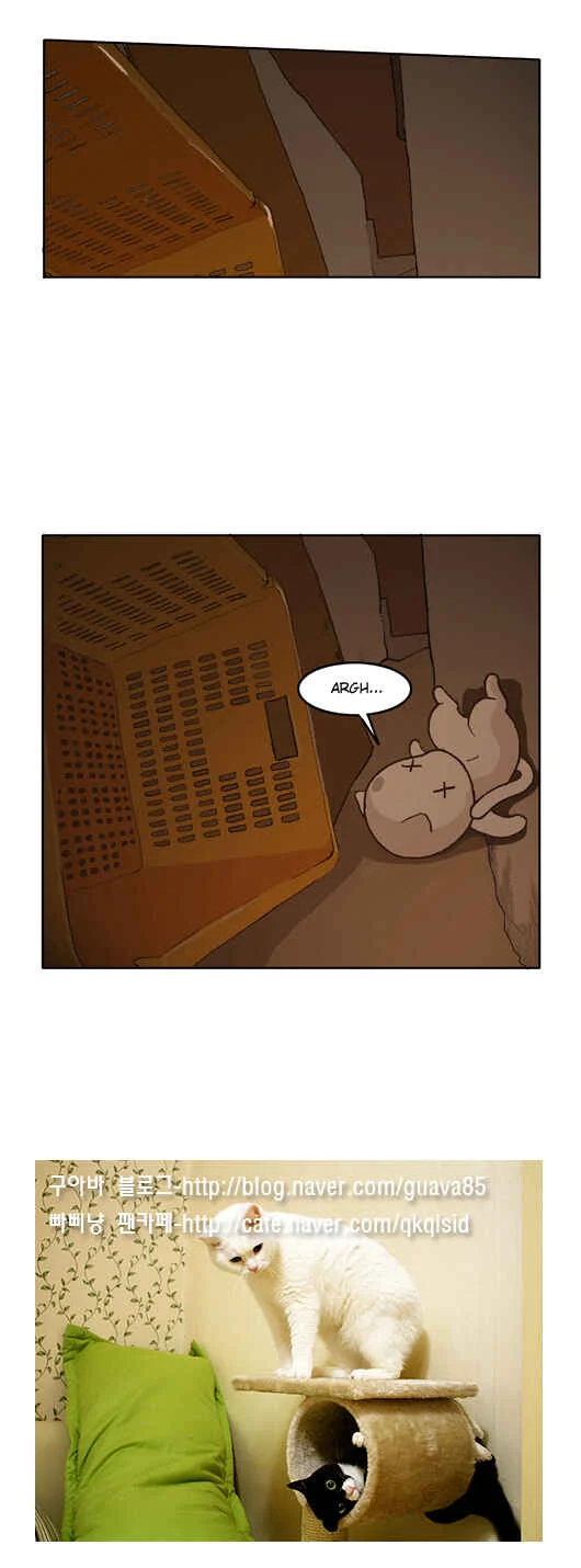 Papi Nyang Chapitre 5 - Page 19