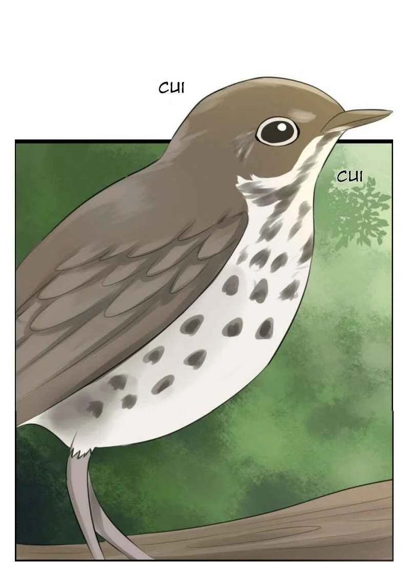 Rebirth Chapitre 1 - Page 2