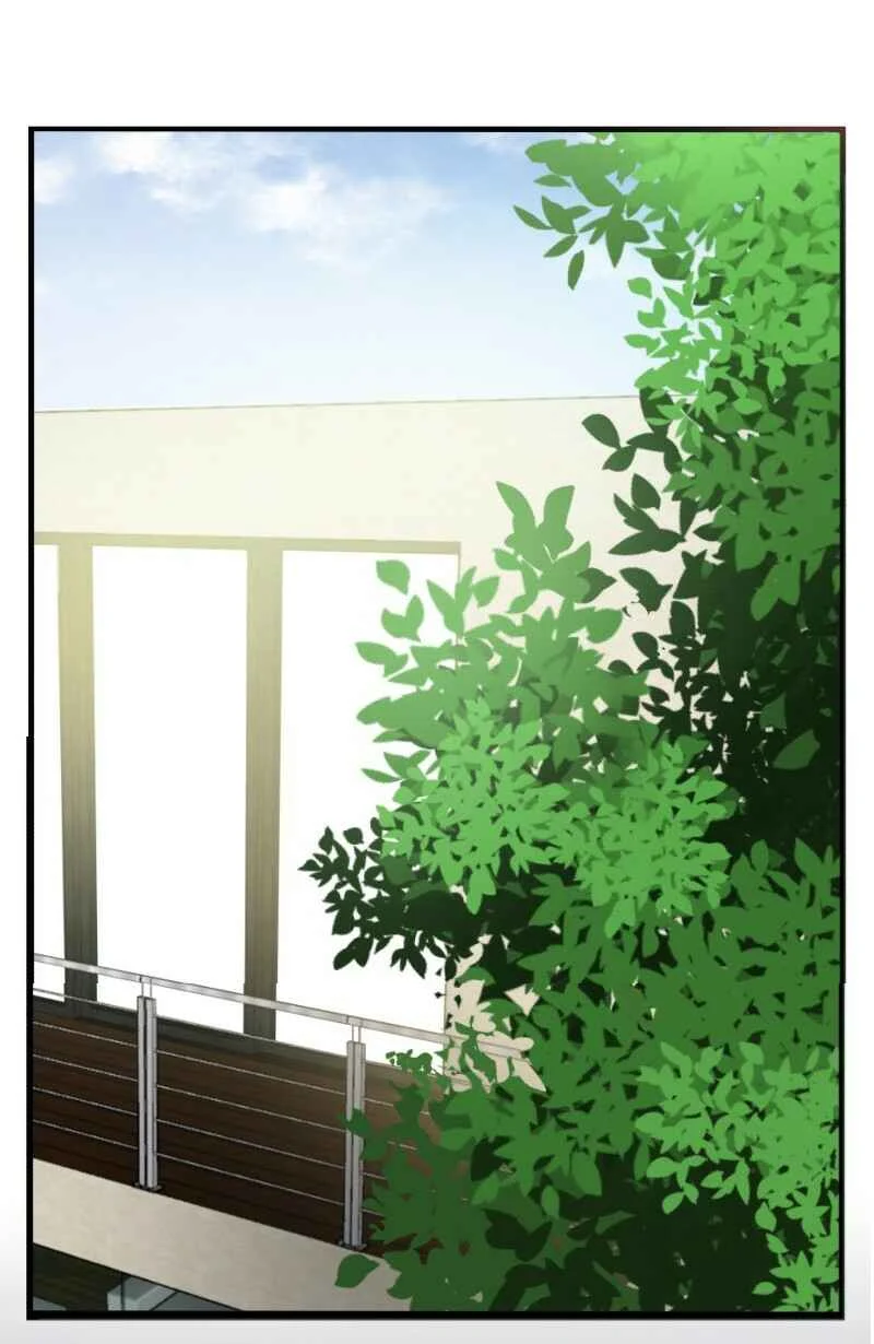 Rebirth Chapitre 1 - Page 3
