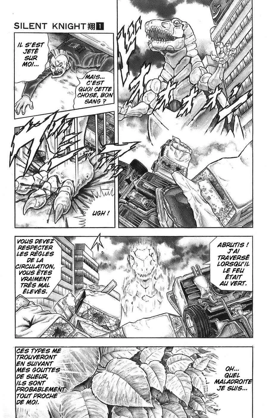 Silent Knight Sho Chapitre 1: Le récit millénaire des Ailes du Faucon - Page 13