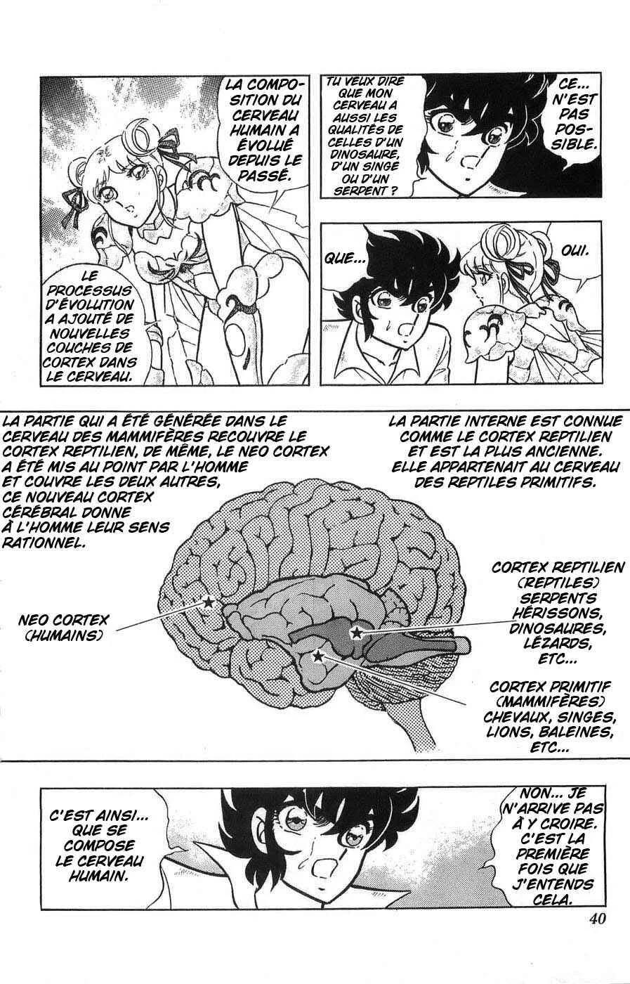Silent Knight Sho Chapitre 1: Le récit millénaire des Ailes du Faucon - Page 24