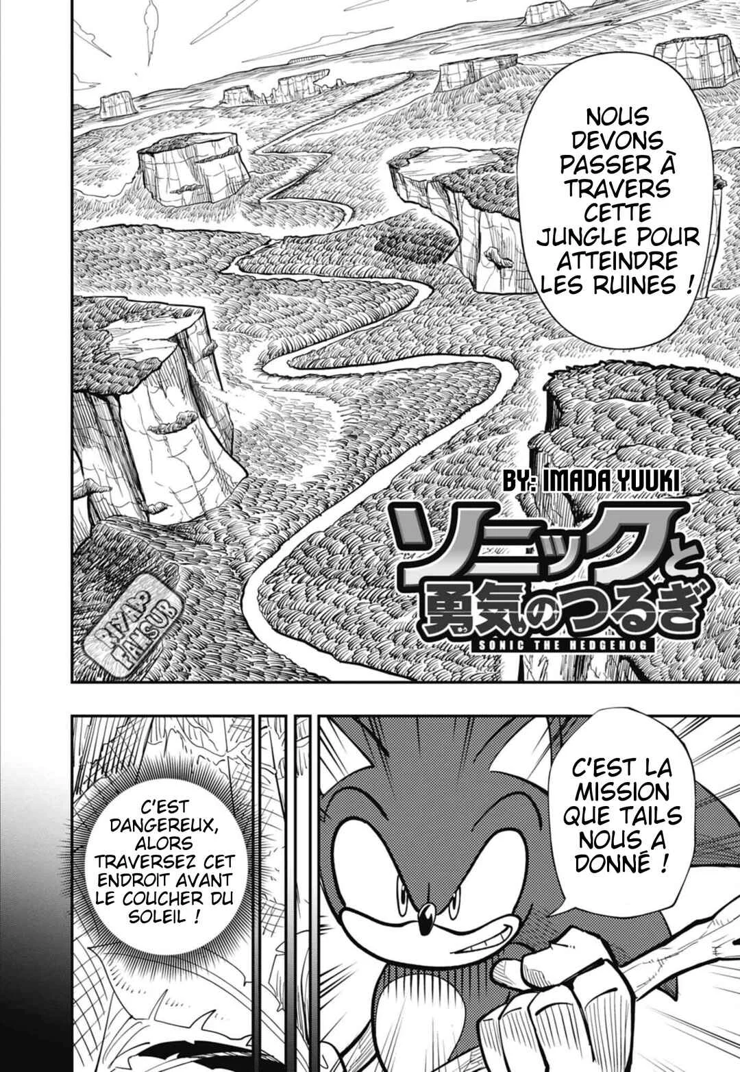 Sonic to Yuuki no Tsurugi Chapitre 4: Traversez la jungle à toute vitesse ! - Page 4