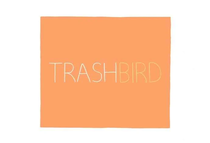 Trash Bird Chapitre 5 - Page 2