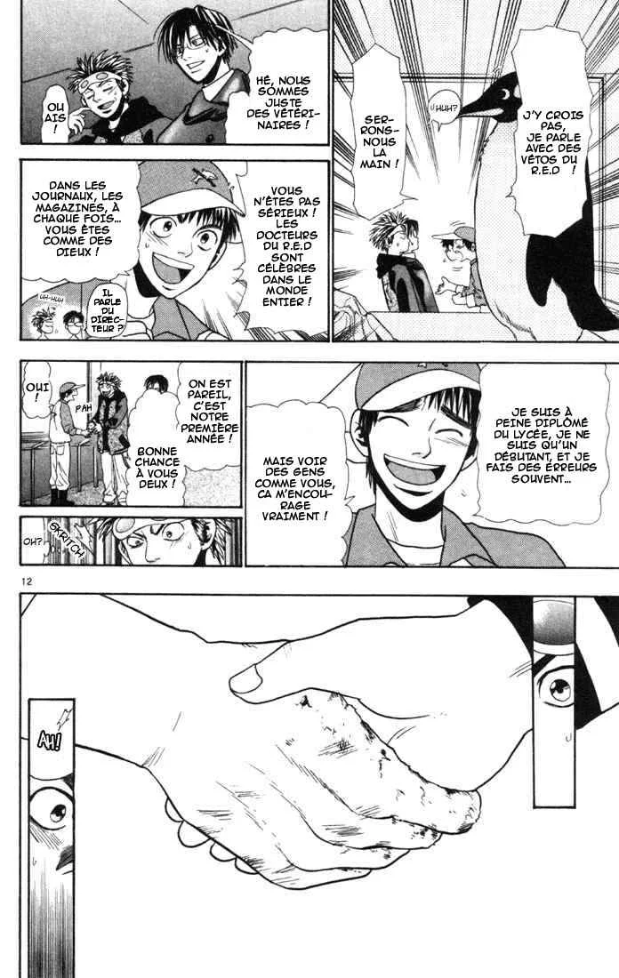 Wild Life Chapitre 11: Les Yankees vont au delà - Page 12