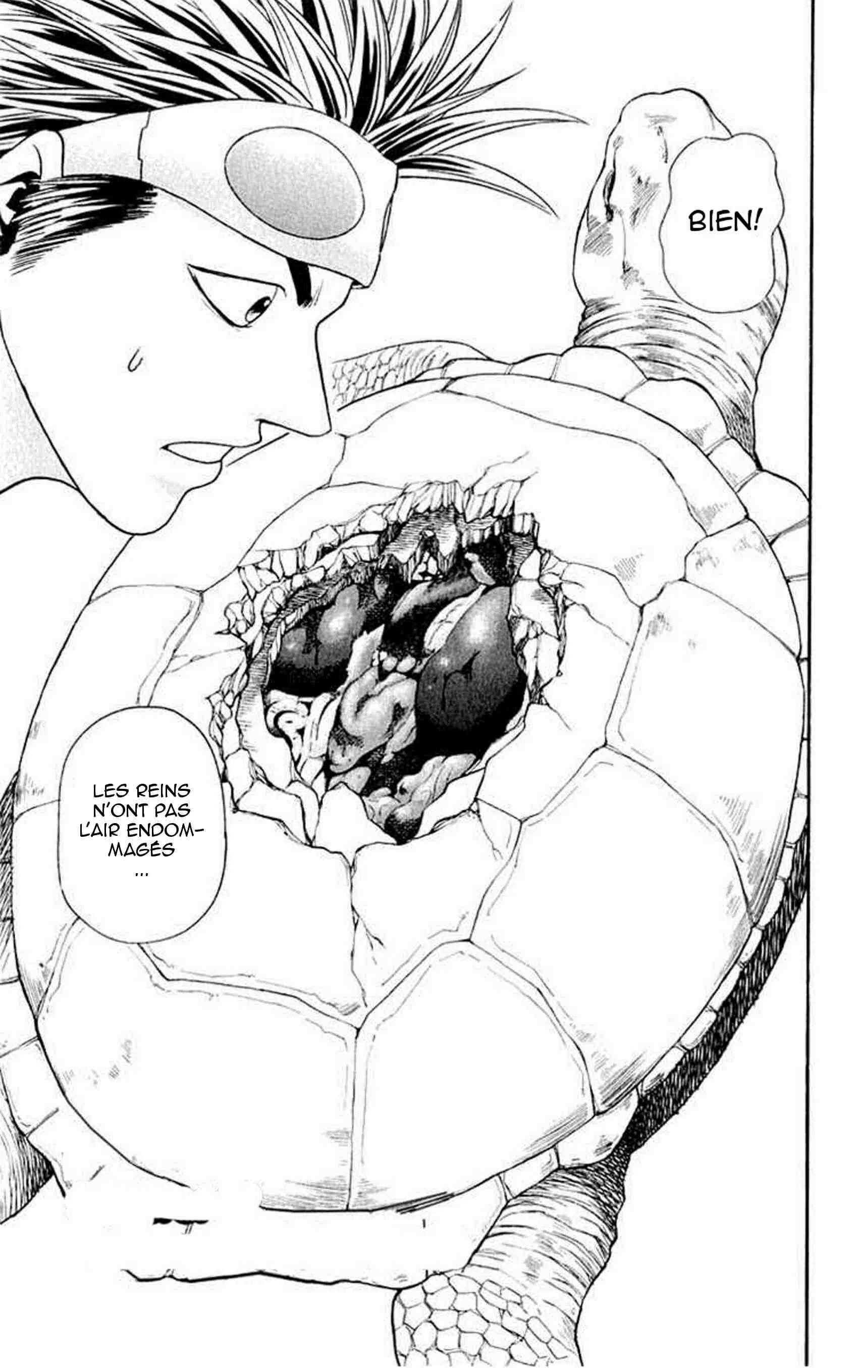 Wild Life Chapitre 12: Ryotô et la tortue - Page 1