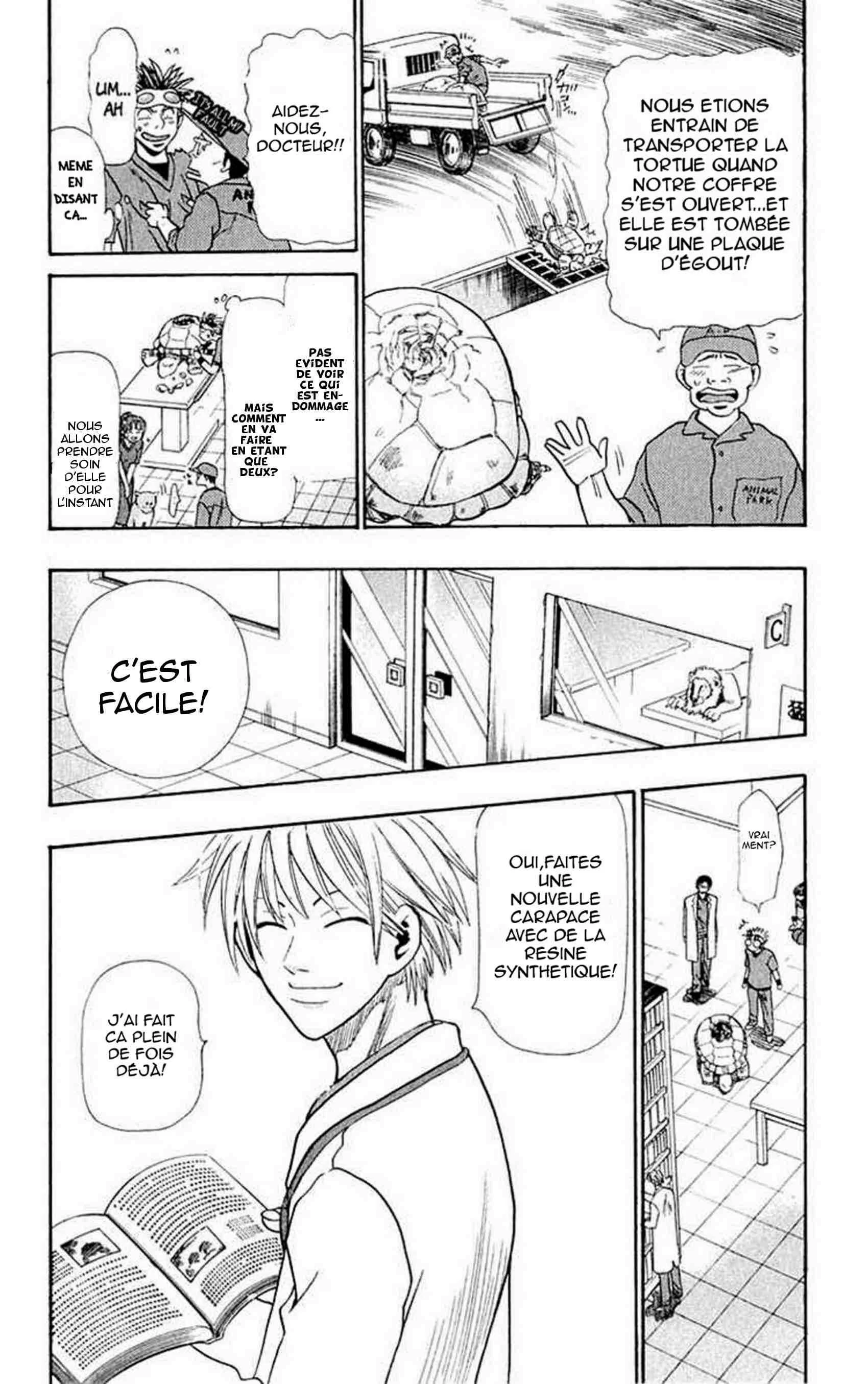 Wild Life Chapitre 12: Ryotô et la tortue - Page 2
