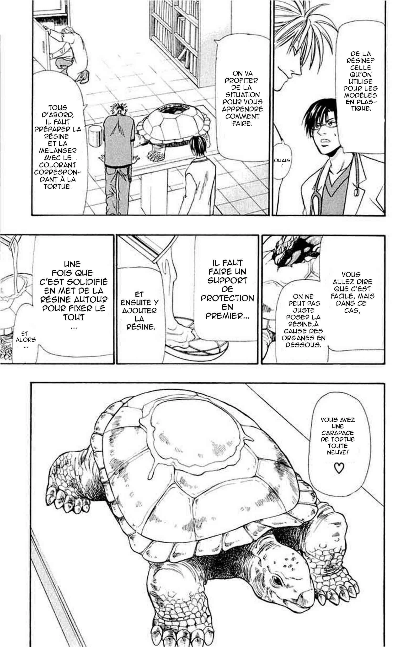 Wild Life Chapitre 12: Ryotô et la tortue - Page 3
