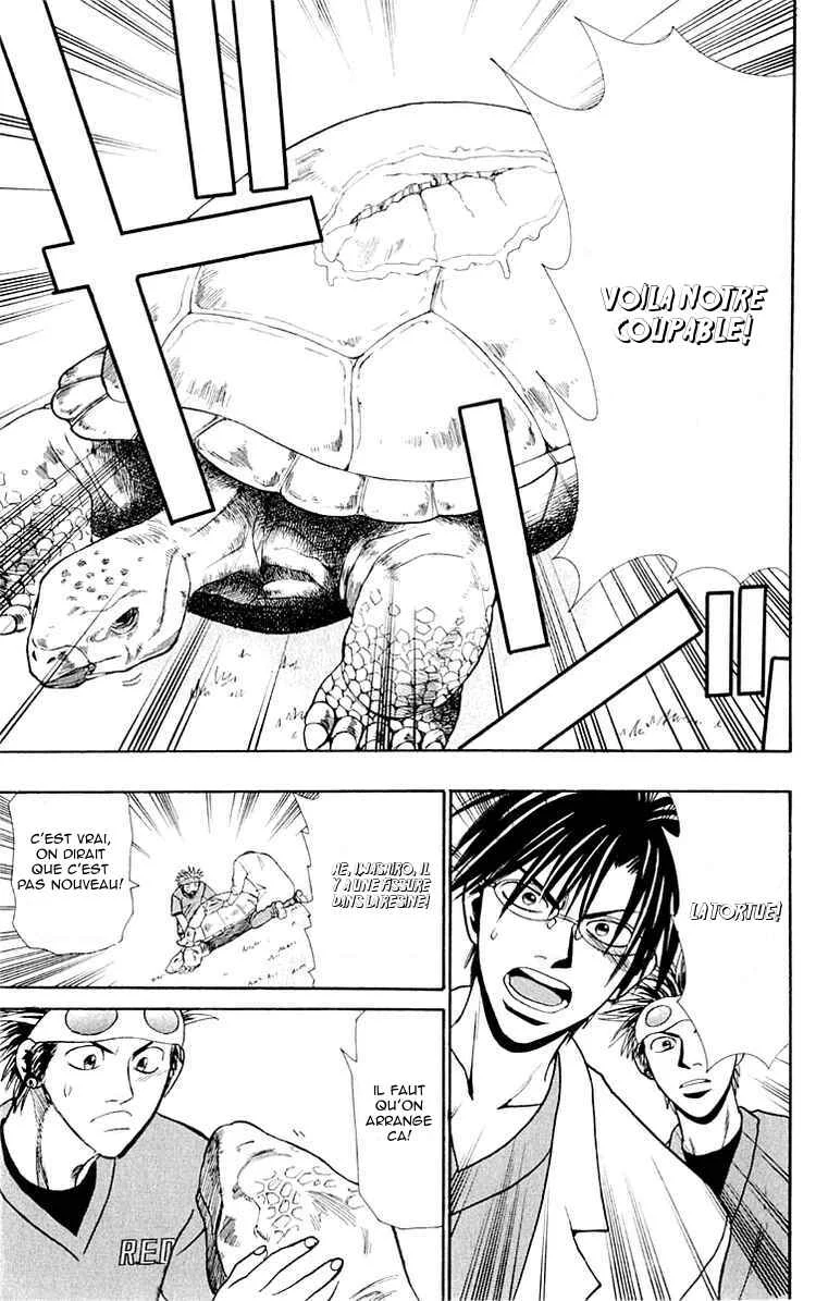 Wild Life Chapitre 12: Ryotô et la tortue - Page 17