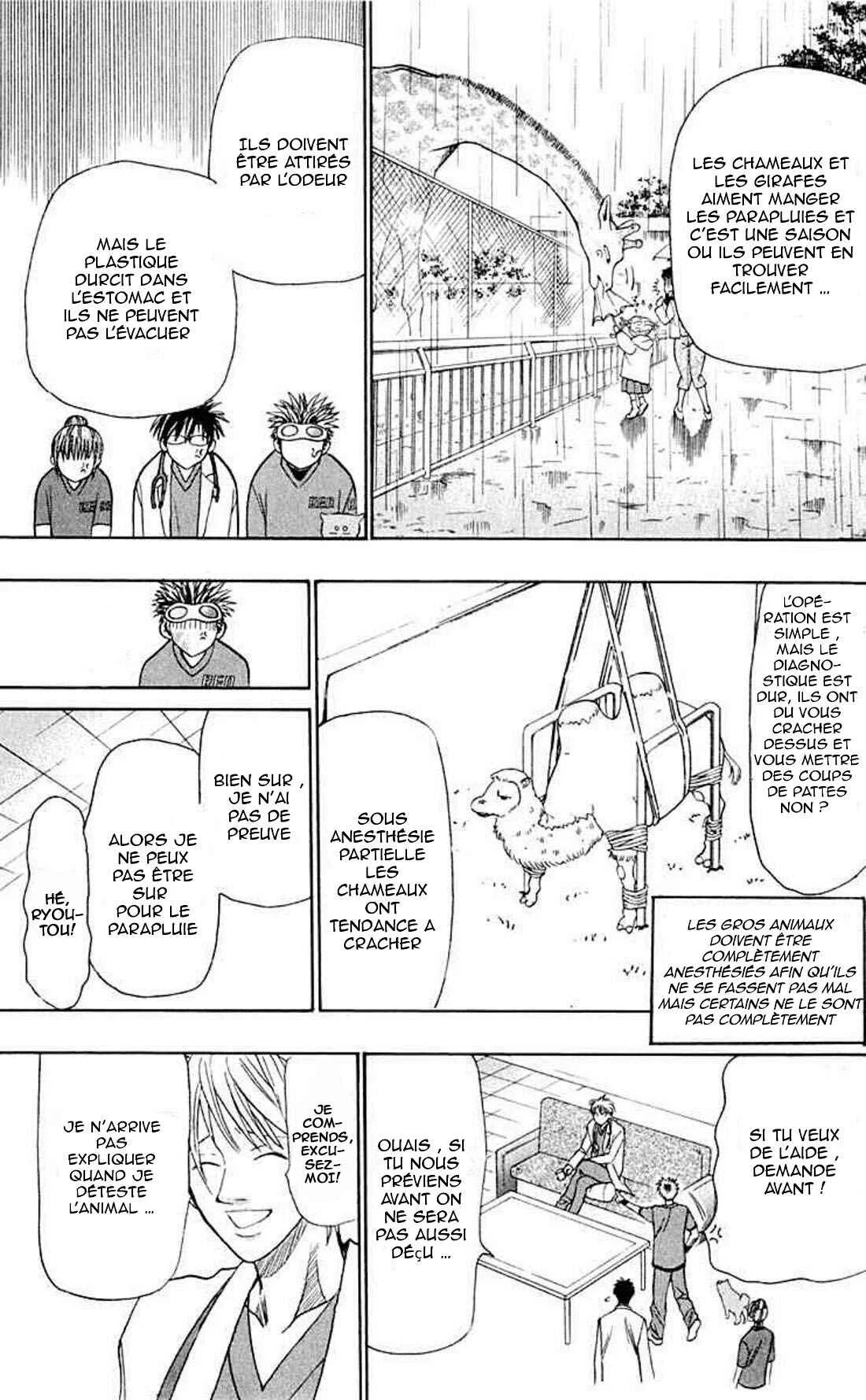 Wild Life Chapitre 15: Ryotô et le chameau - Page 16