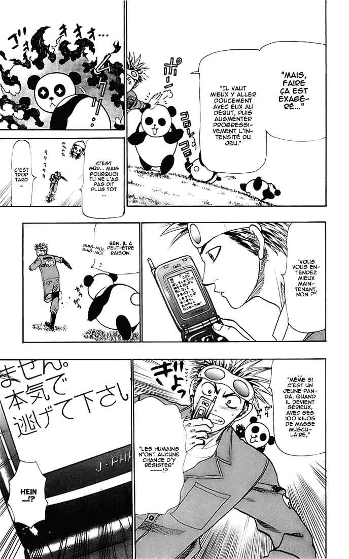 Wild Life Chapitre 24: Jouer avec le panda - Page 17