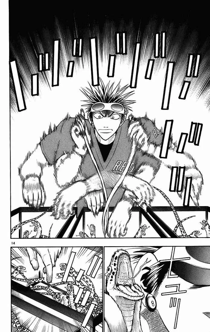 Wild Life Chapitre 29: Saisir une anguille - Page 14