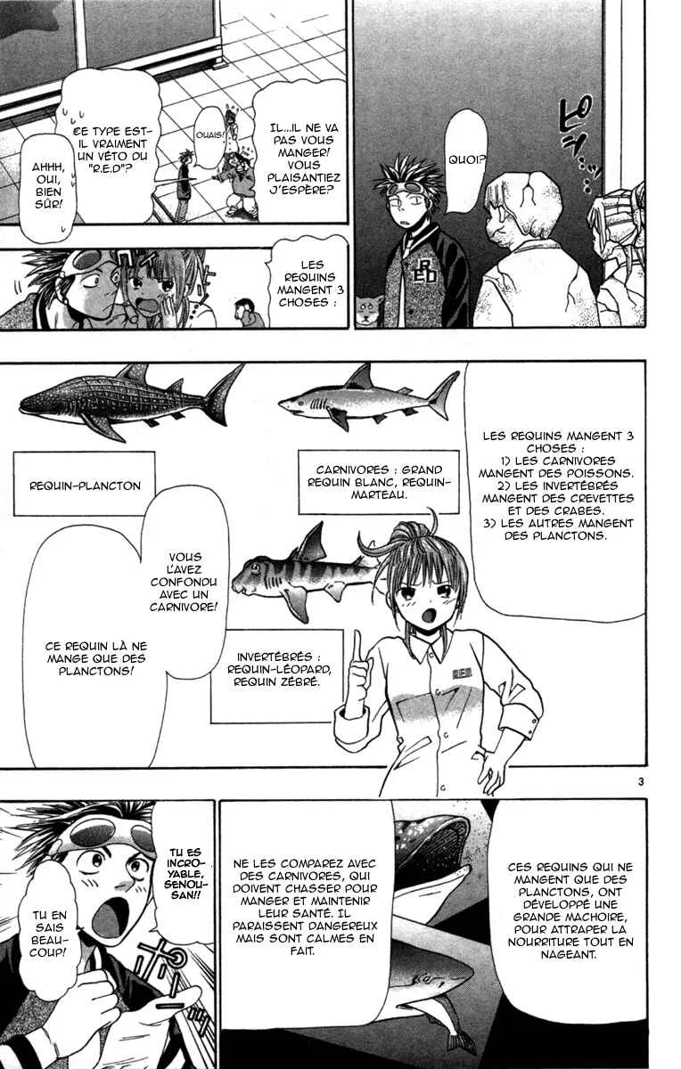 Wild Life Chapitre 4: L'université américaine - Page 3