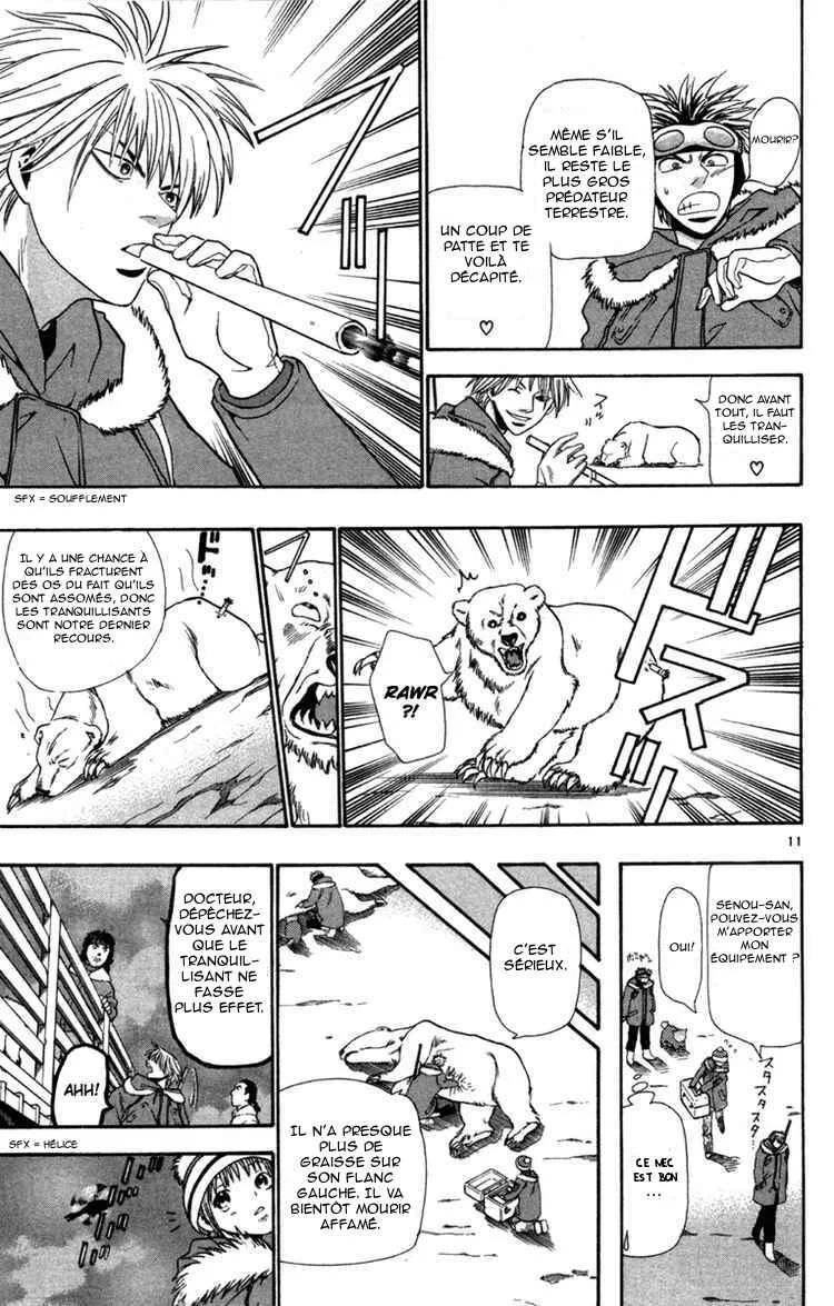 Wild Life Chapitre 7: L'ours polaire - Page 11