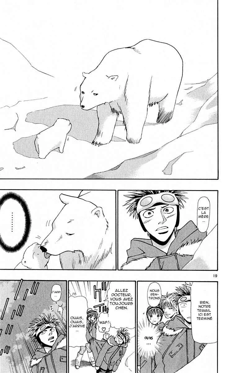 Wild Life Chapitre 7: L'ours polaire - Page 19