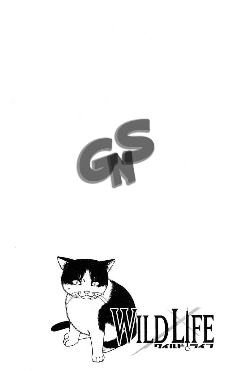 Wild Life Chapitre 9: La PTA du chat - Page 2