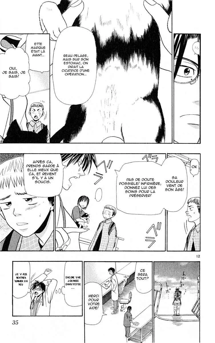 Wild Life Chapitre 9: La PTA du chat - Page 11
