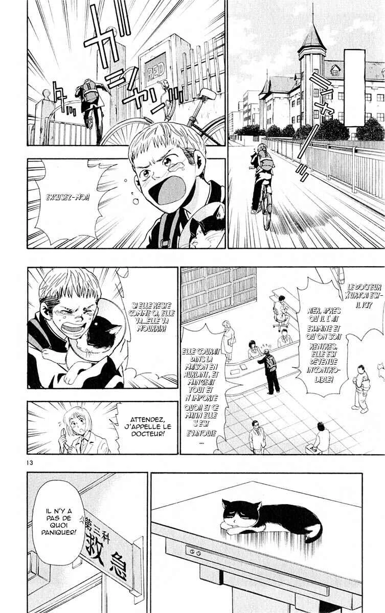 Wild Life Chapitre 9: La PTA du chat - Page 12
