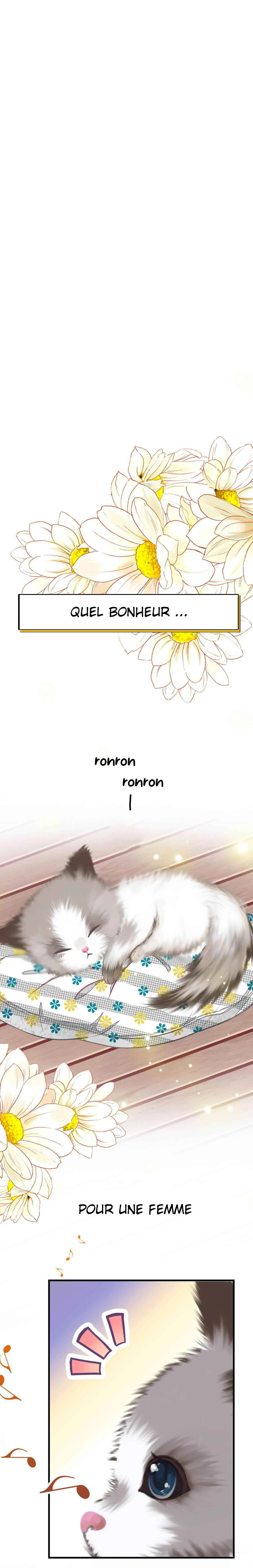 With Cats Only Chapitre 1 - Page 2