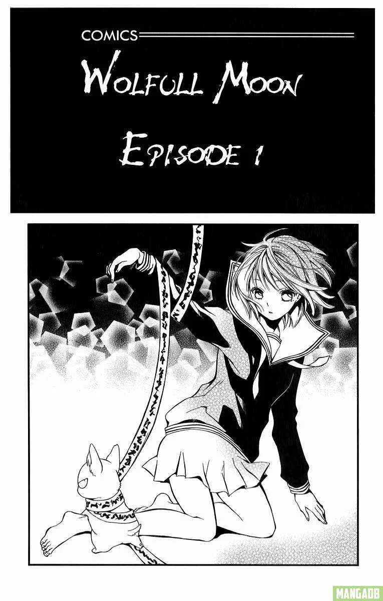 Wolfull Moon Chapitre 1 - Page 5