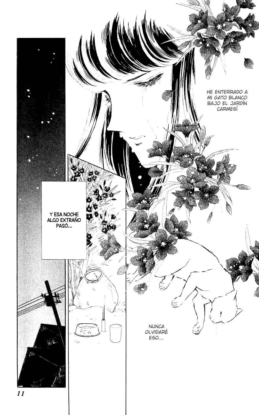 A Record of Ryoko's Psychic Events Capítulo 1 - Page 12