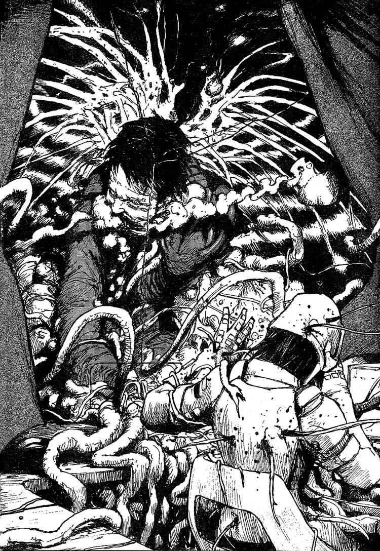 Abara Capítulo 1: Gauna blanco - Page 9