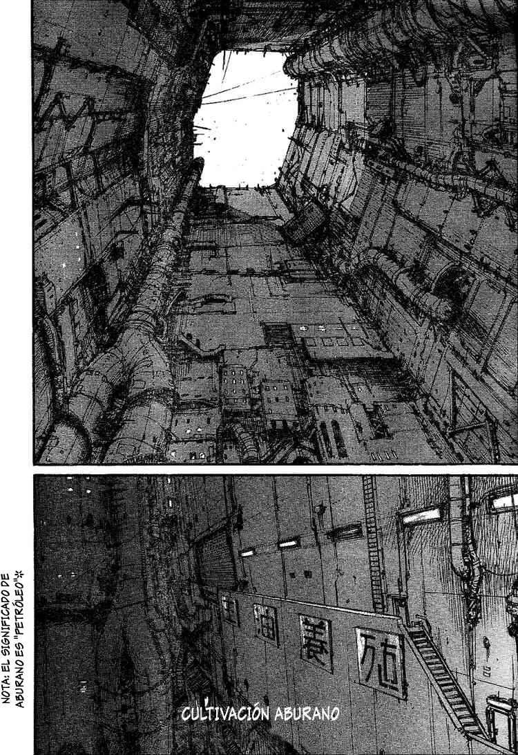 Abara Capítulo 1: Gauna blanco - Page 11