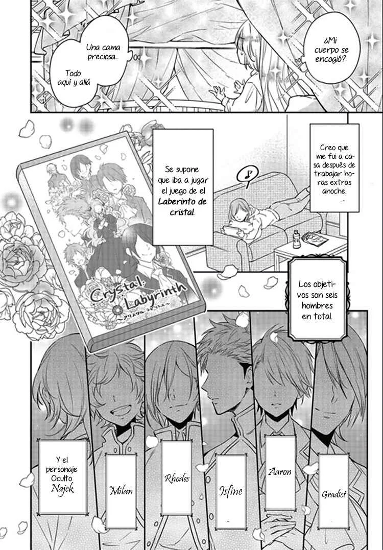 Akuyaku Reijou no Taida na Tameiki Capítulo 1.1 - Page 7