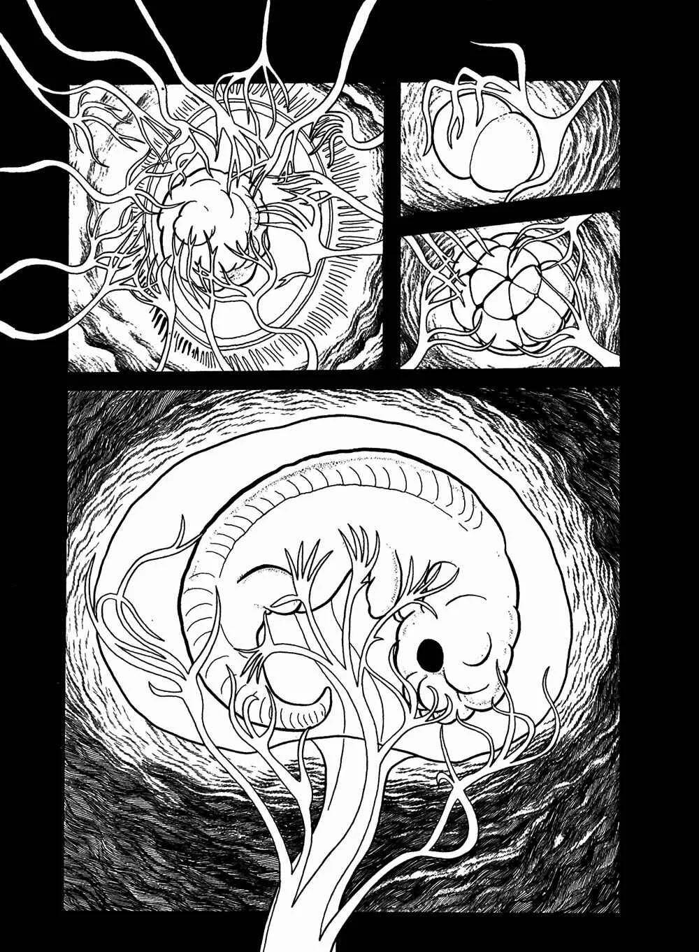 Apollo's Song Capítulo 0 - Page 11