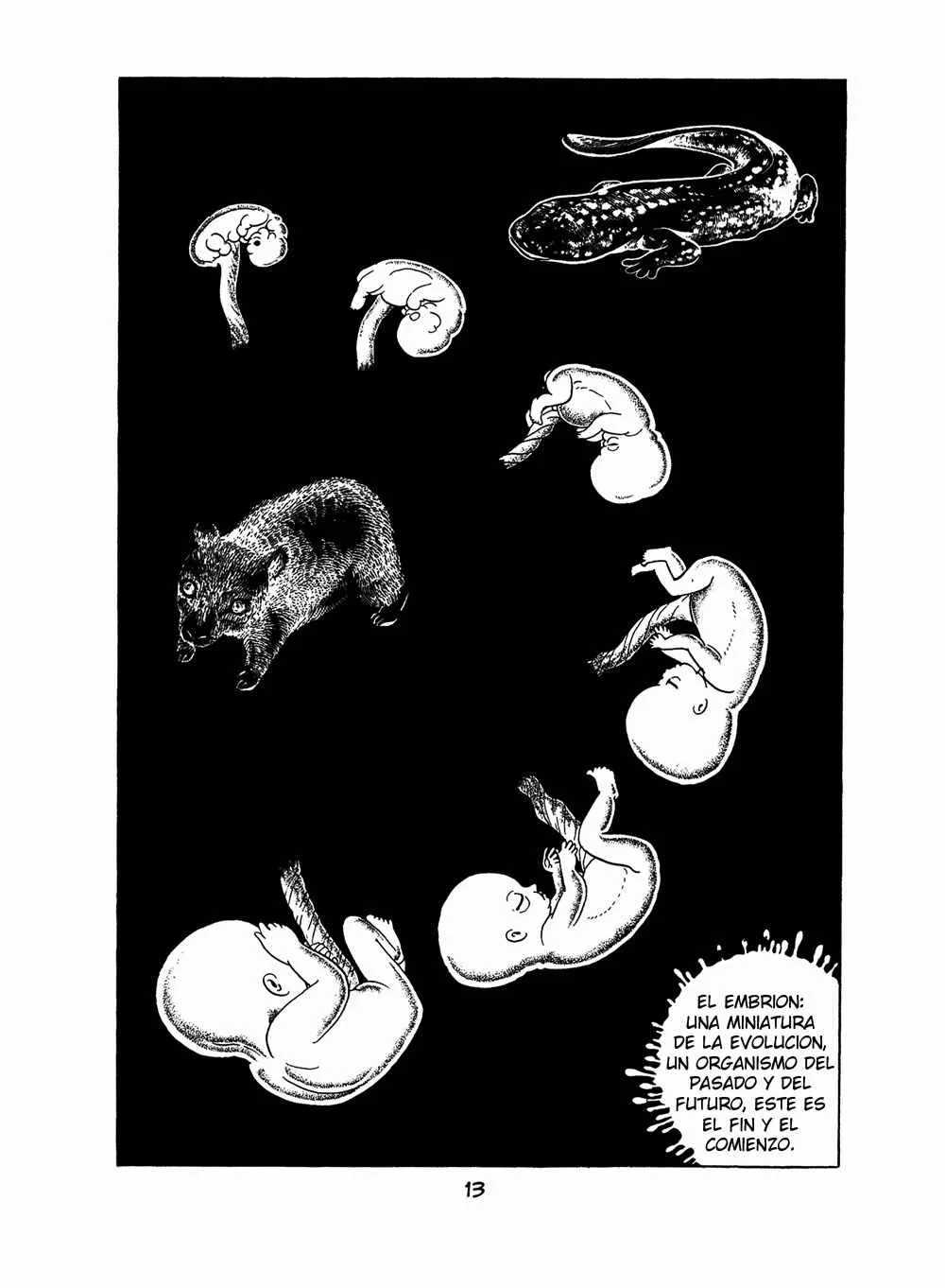 Apollo's Song Capítulo 0 - Page 12
