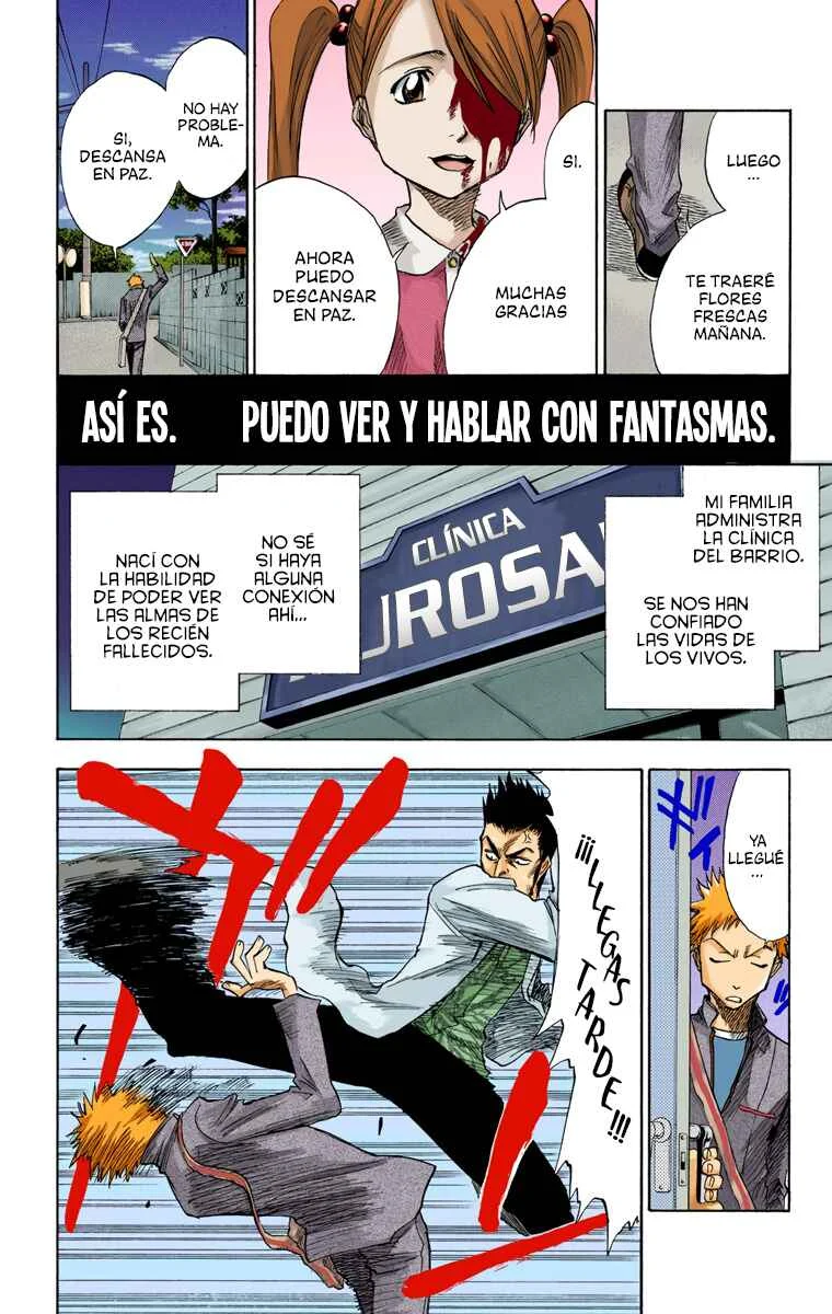 Bleach (Official Colored) Capítulo 1: La muerte y la fresa - Page 11