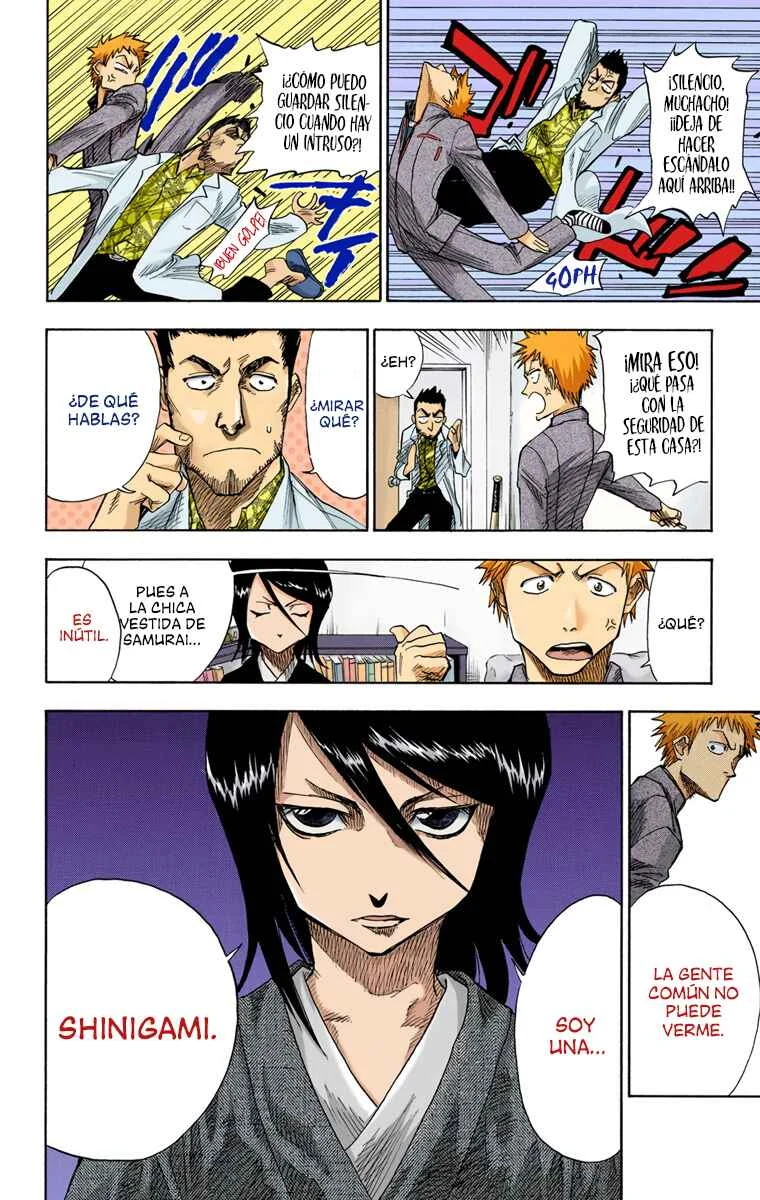 Bleach (Official Colored) Capítulo 1: La muerte y la fresa - Page 17