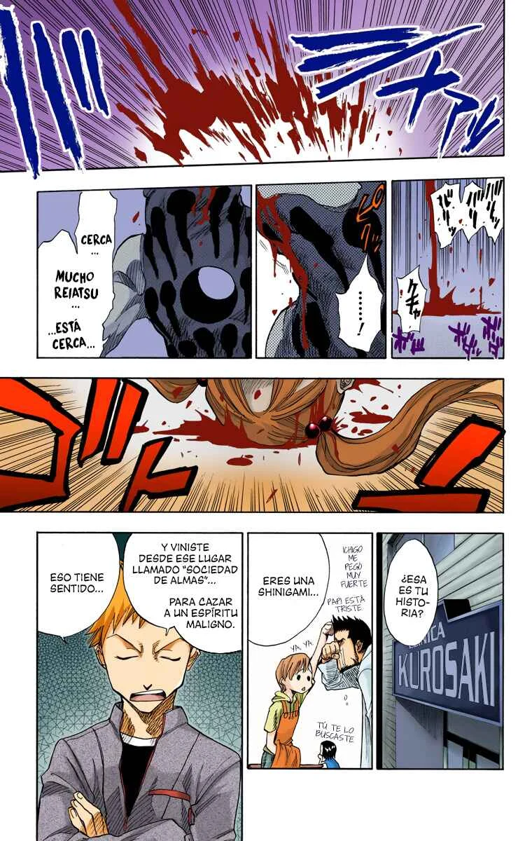 Bleach (Official Colored) Capítulo 1: La muerte y la fresa - Page 18