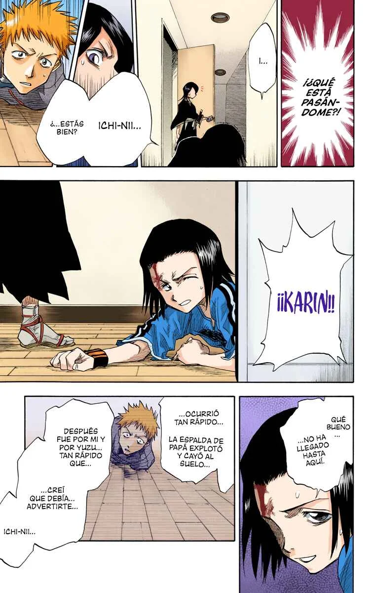 Bleach (Official Colored) Capítulo 1: La muerte y la fresa - Page 28