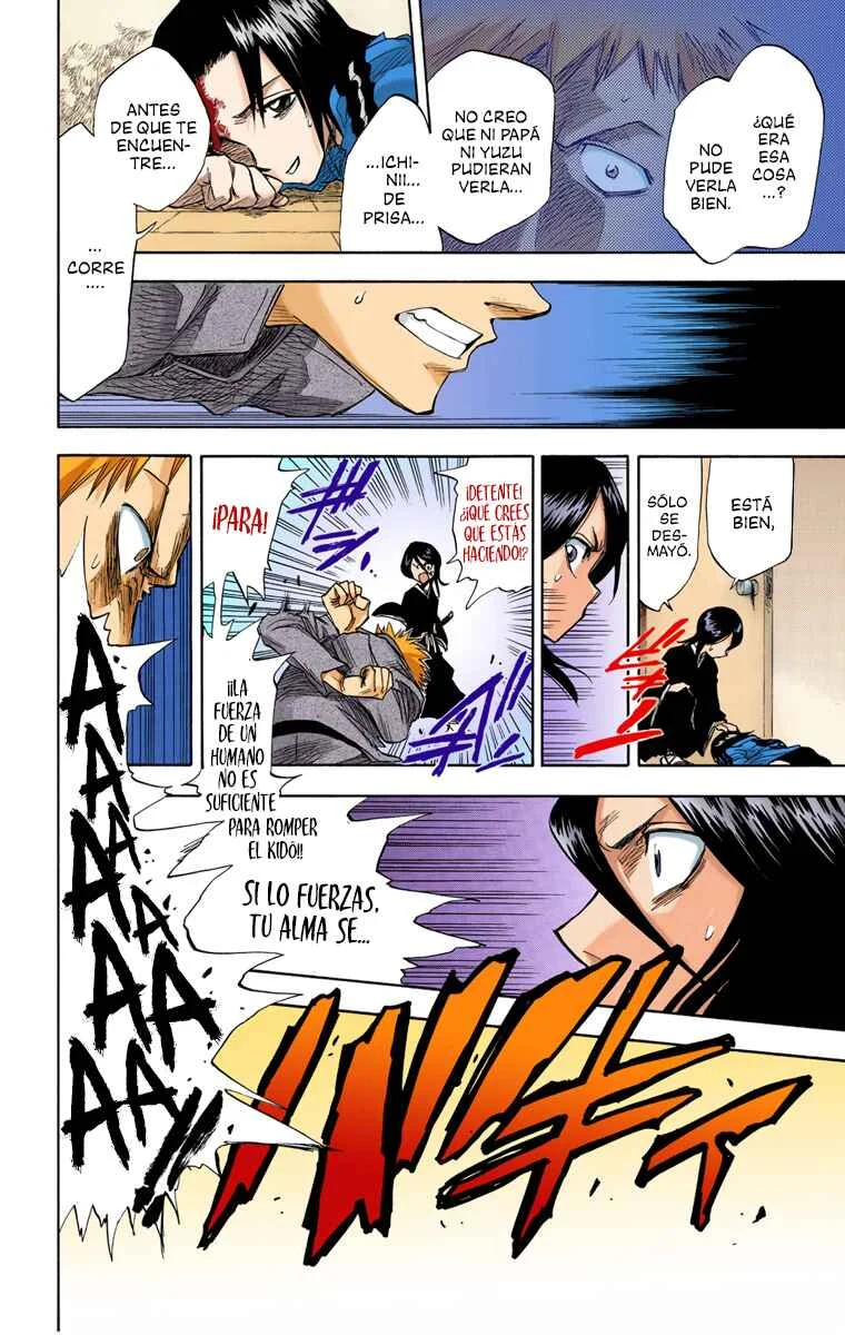 Bleach (Official Colored) Capítulo 1: La muerte y la fresa - Page 29