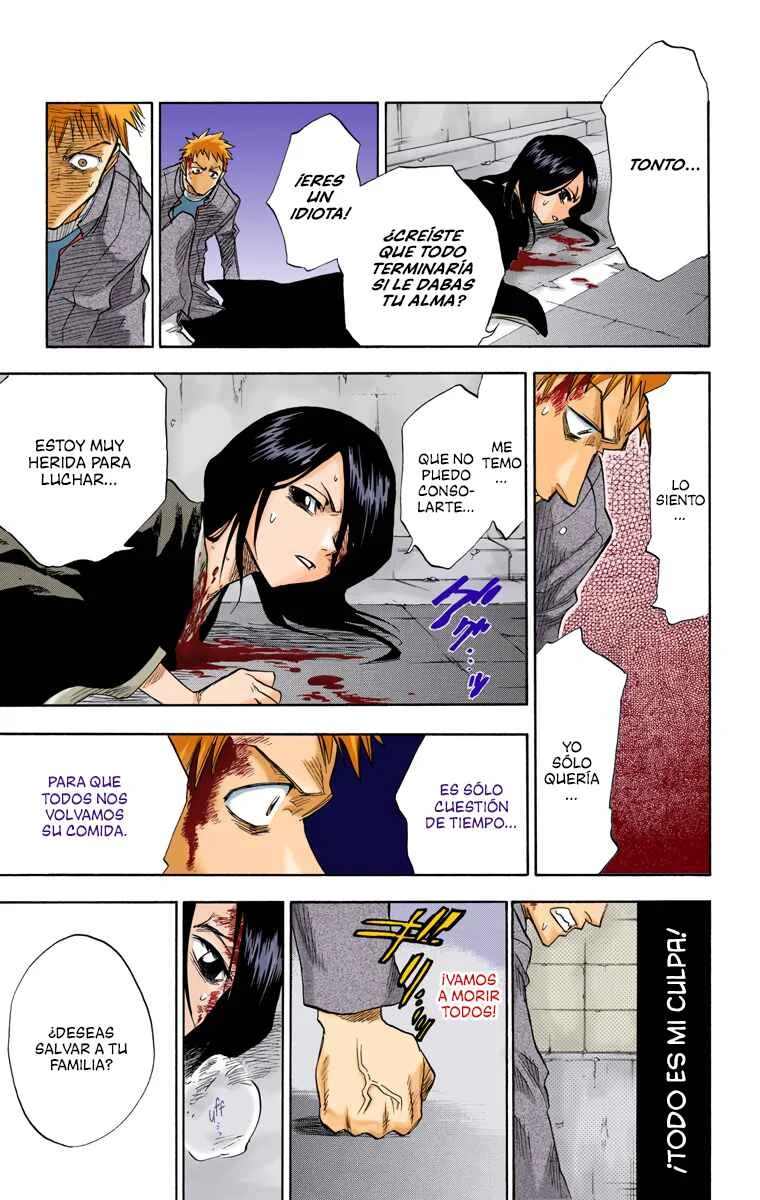 Bleach (Official Colored) Capítulo 1: La muerte y la fresa - Page 44